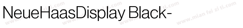 NeueHaasDisplay Black字体转换